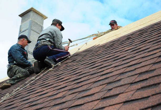 Best Roof Maintenance Services  in Liberty City, TX